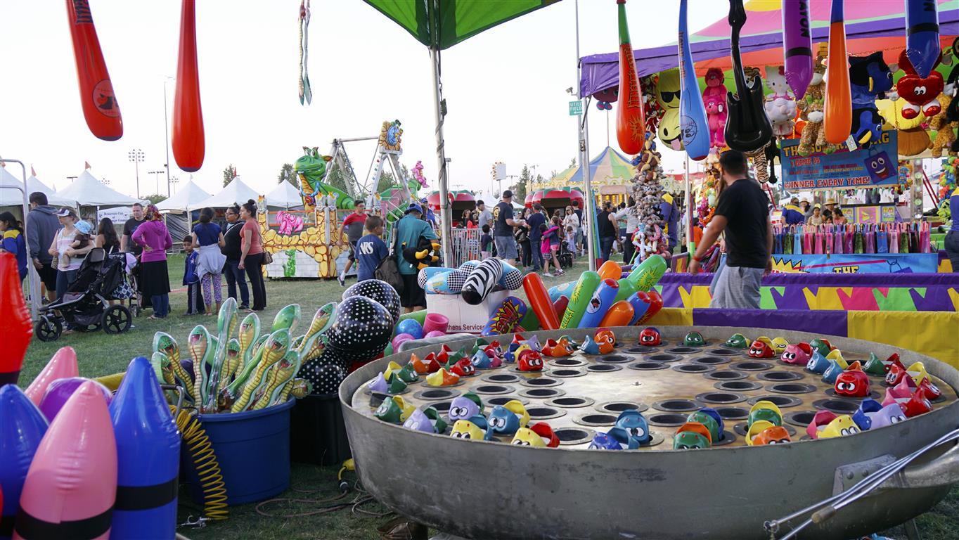 FV Summerfest 2016 (7)